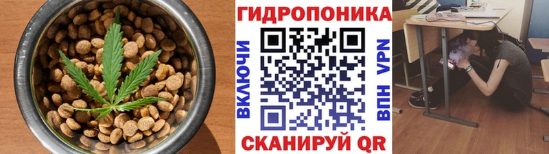 закладка  Новотроицк  Еда ТГК конопля 