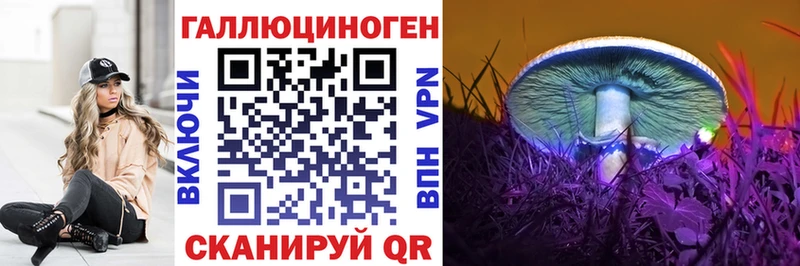 где можно купить наркотик  Новотроицк  Псилоцибиновые грибы MAGIC MUSHROOMS 
